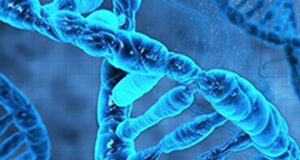 Genomic breeding for OCD: What are the benefits?