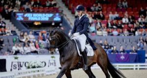 Blue Hors Zack: The best since De Niro?