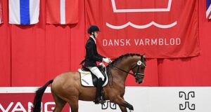 Ten-day testing of Danish Warmblood stallions