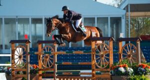 Horses for courses: “Money is driving change in our sport!”