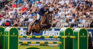 Top-level breeding: Grand Prix produces Grand Prix