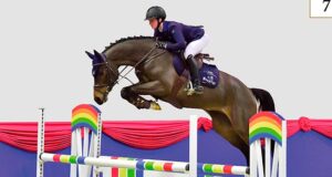 An interim ‘norm’: Buying a horse with a mouse click!