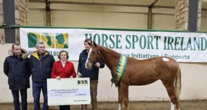 Horse Sport Ireland breeding initiatives 2020