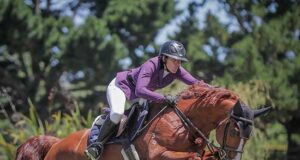 Virtual reality finale to NZ summer showjumping series
