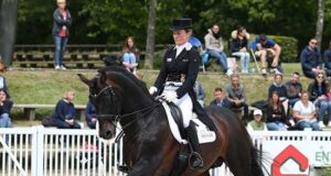 Meyer: “Always looking for the complete horse? Stupid!”