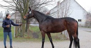 Being highly placed is not a matter of chance