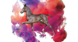 Vechta 3rd Oldenburger Special Edition Auction