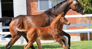 Valentin leads the way with €52,000
