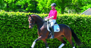 Diverse collection for online 16th Westfalian Summer Auction