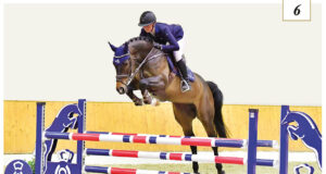 World-class Oldenburg sale opens July 10