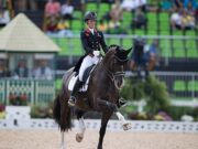 Dressage news round-up