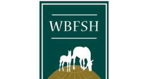 Breathing new life into the ‘Interstallion’ project