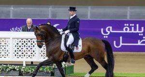 Foundation: German BV’s number one!