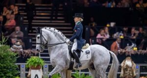 The place of studbooks at the dressage WBCYH