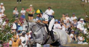 Brazil celebrates 15 years of National Sport Horse Festival
