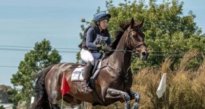 Henton Lodge Hanoverians where quality is the prize