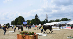 13th Herwart von der Decken-Show goes ahead