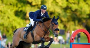 Who’s who among the up-and-coming jumping sires?