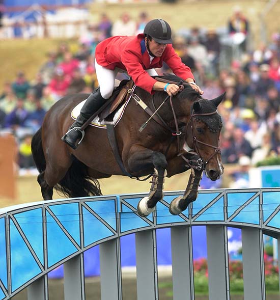 Brazil celebrates 15 years of National Sport Horse Festival - Breeding ...