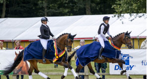 First Trakehner young-horse champions of 2020 crowned