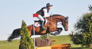 Welcome to Poland’s Young Horse Championships