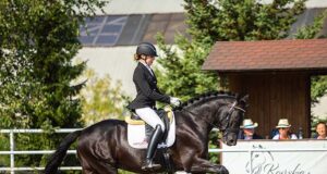 Dressage championships for young horses in Poland