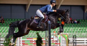 Lithuanian young-horse finals celebrate breeding