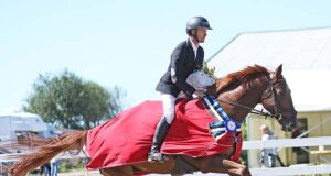 Estonian Sport Horse jumper breeding championships