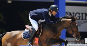 Diverse and sophisticated Brazilian Sport Horse market