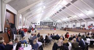 Solid prices for high quality foals at Nordic auction