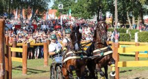KWPN horses in international driving