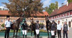 Successful Marbach mares