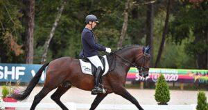 Dressage young horse French champions crowned