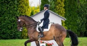 Polish ‘hybrid’ auction and new dressage champions
