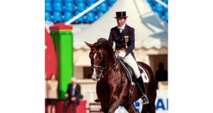 Donnerhall: Paying tribute to a legendary dressage sire