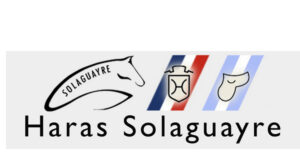 Argentina: Online auction of 3yo products