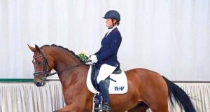 Stunning price highlight at 60th Westfalian Elite Auction