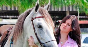 Can genetics turn stallion selection into a science?