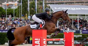 KWPN trifecta in WBFSH year-end studbook rankings