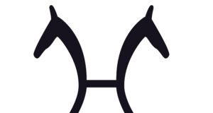 Woerman: The beginning of the Weltmeyer phenomenon