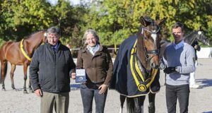 State premiums for three successful Marbach mares
