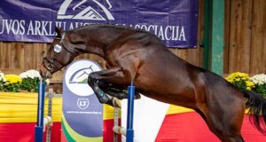 Powerful performances from super Lithuanian stallions