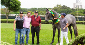 Brazilian Sport Horse XV National Festival