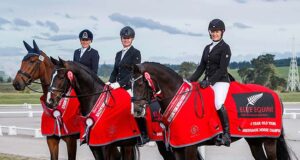 NZ national young dressage horse championships