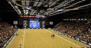 DWB stallion licensing moved to Vilhelmsborg