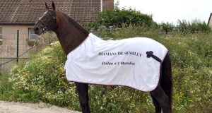 Diamant de Semilly: A legacy, 30 years in the making