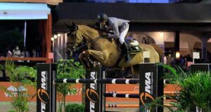 Allure, elegance and quality highlighted at 15th BH Festival