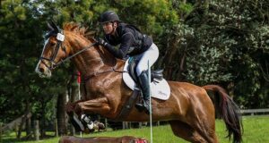 The difference a decade makes in breeding at Puhinui
