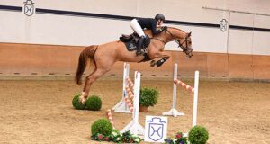 A convincing group for the Holsteiner Spring Auction