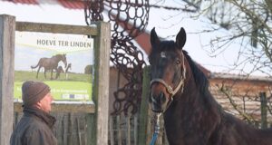 Hoeve ter Linden: The Van Poucke family legacy